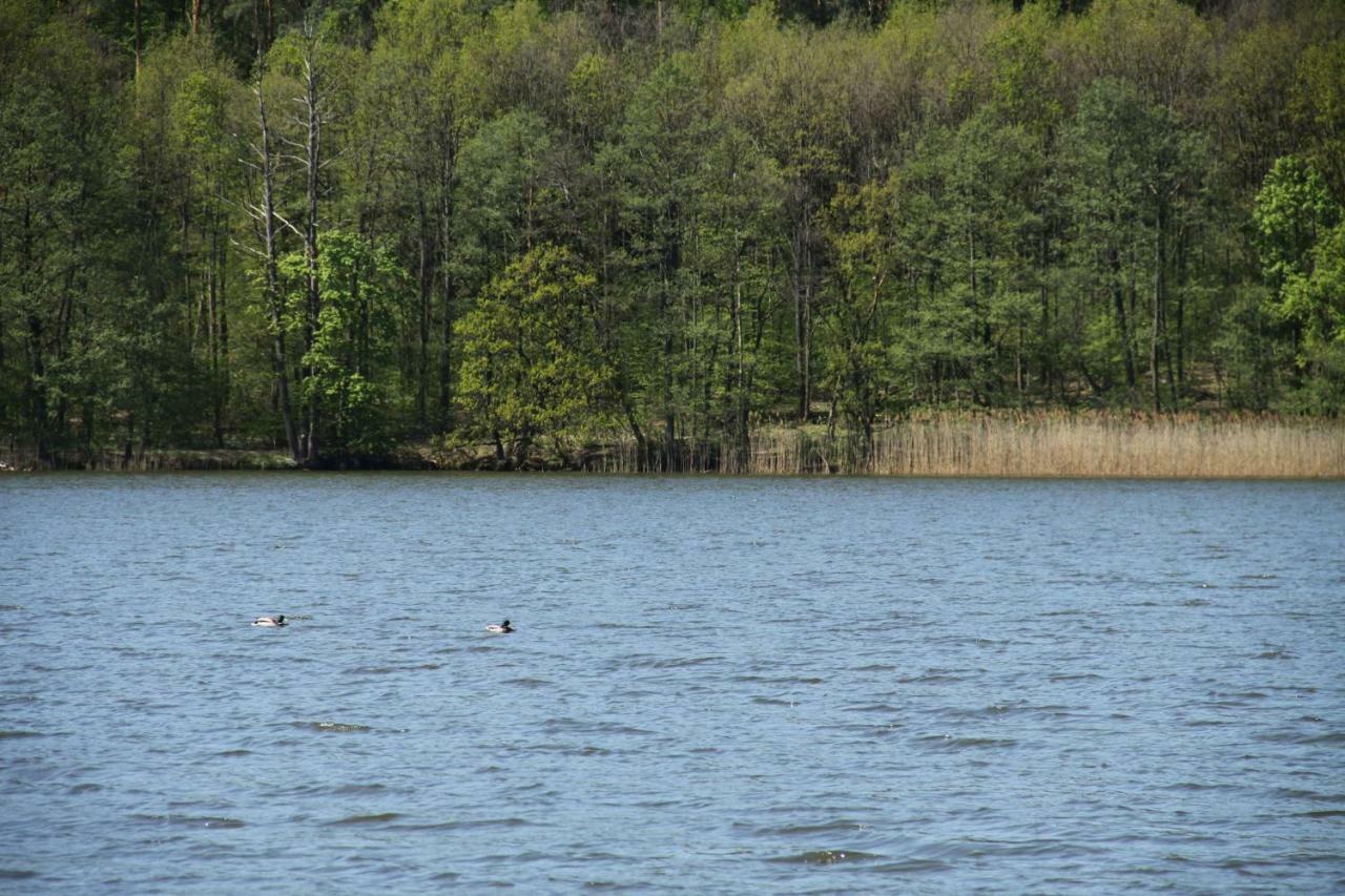 Lake View Apartamenty Бродниця Екстер'єр фото